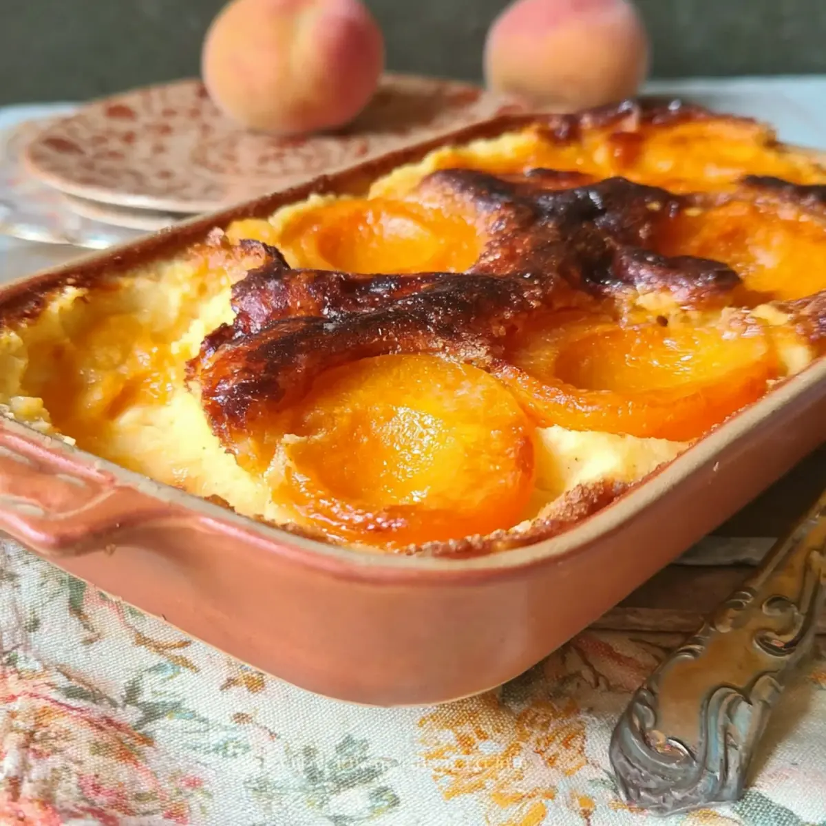 Aprikosengratin